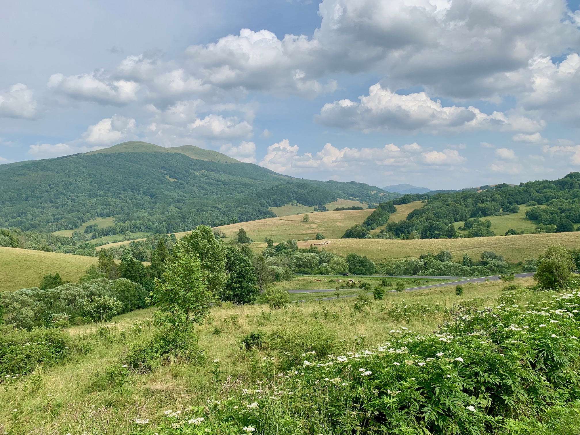 Uitzicht over de Bieszczady, een natuurgebied in Polen
