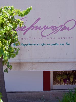 Wijnhuizen op Kos, proef de smaak van het eiland in lokale wineries