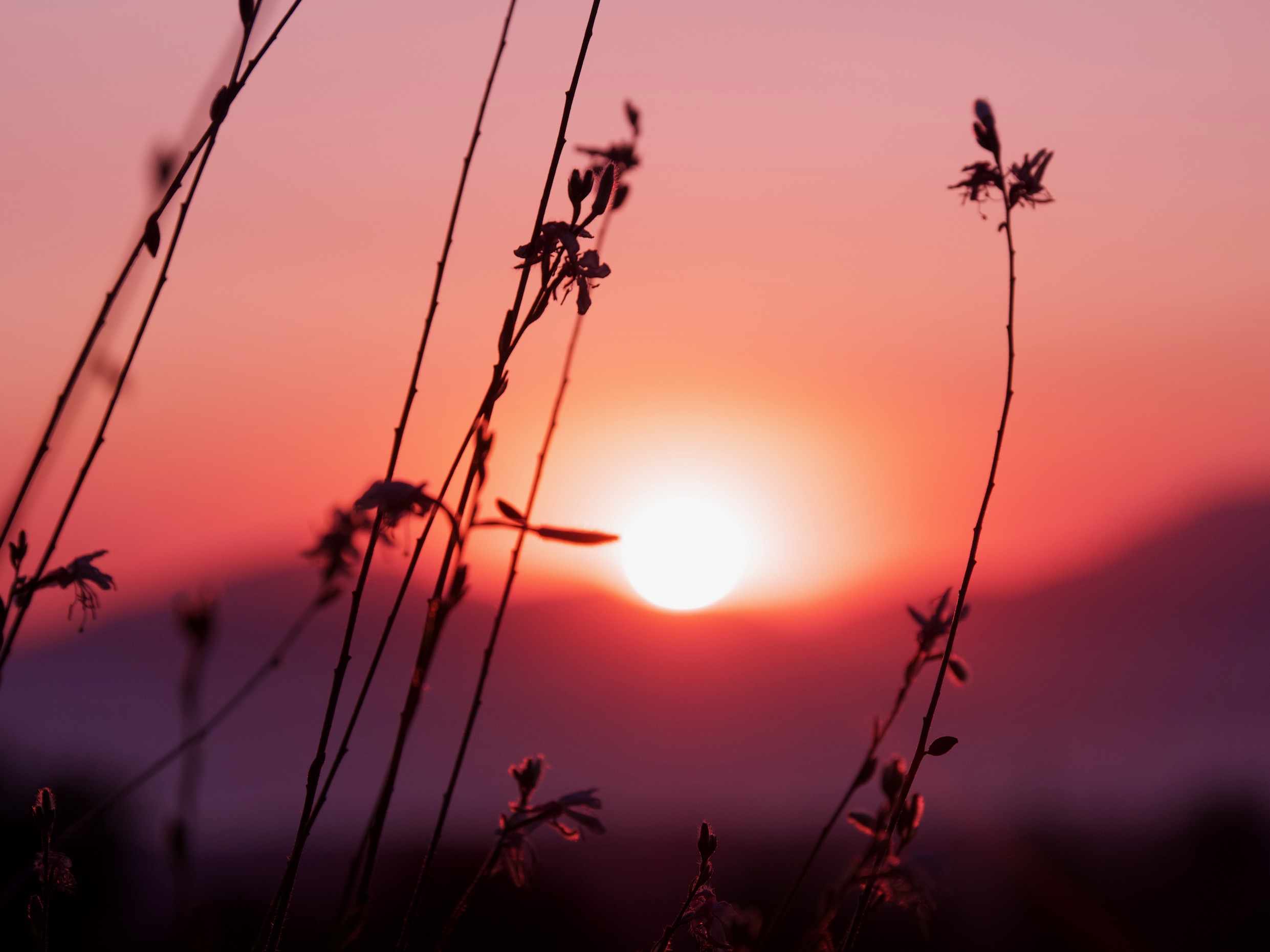de zon die onder gaat in Zia op Kos
