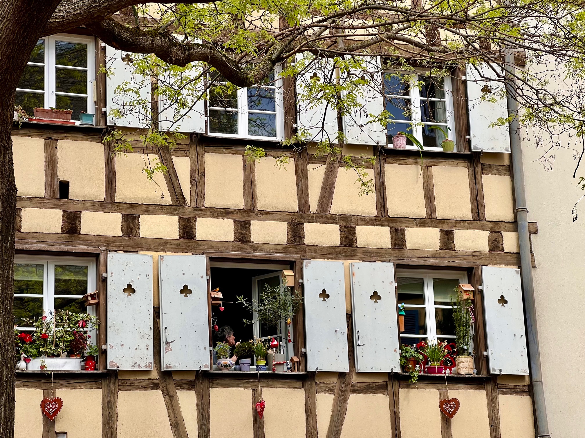luiken colmar elzas
