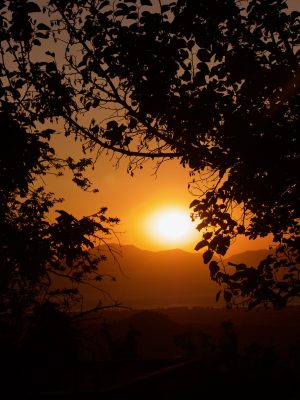 De zon die achter de bergen zakt in Zia tussen bladeren van een boom