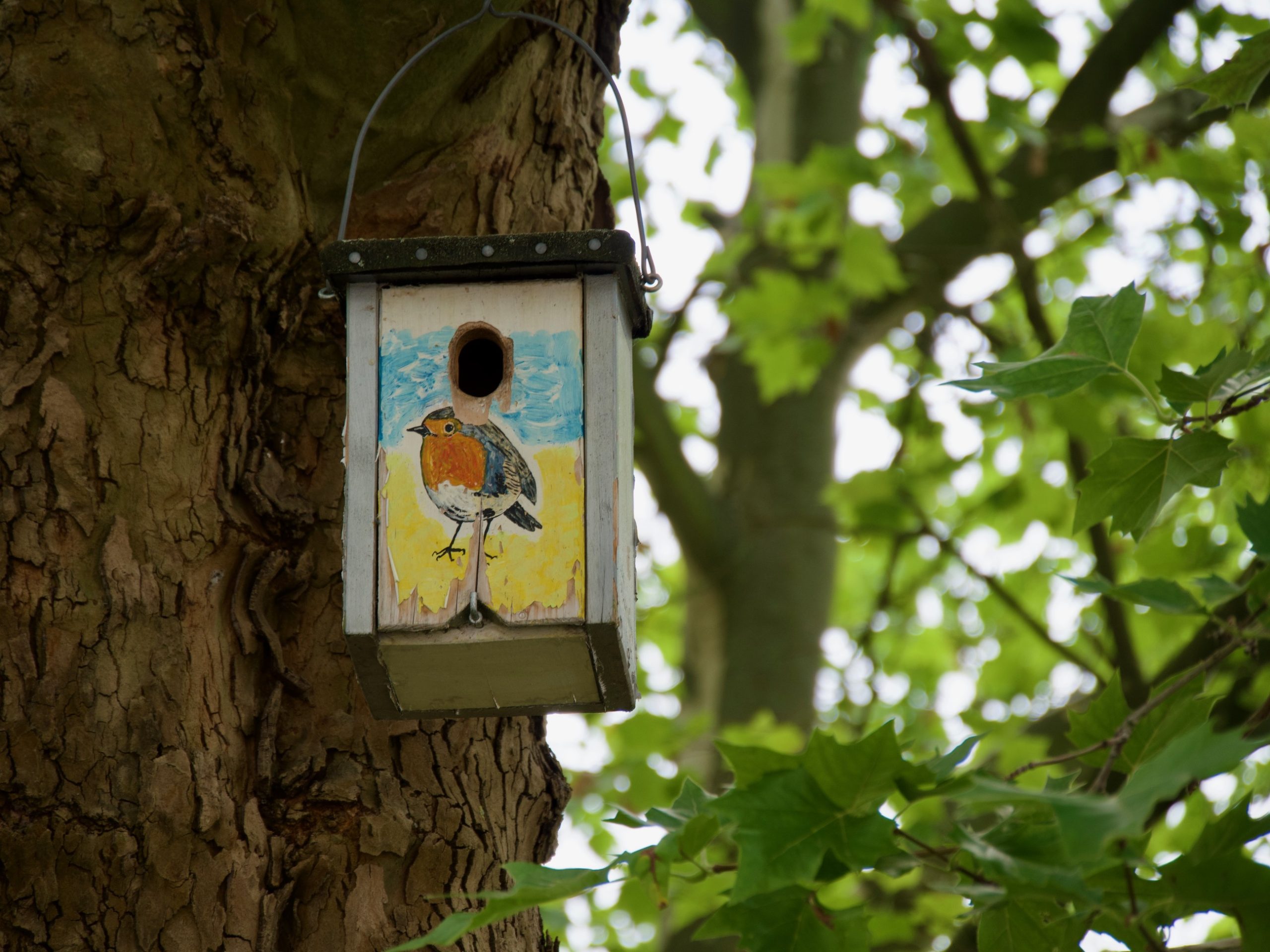 een vogelhuisje in een boom