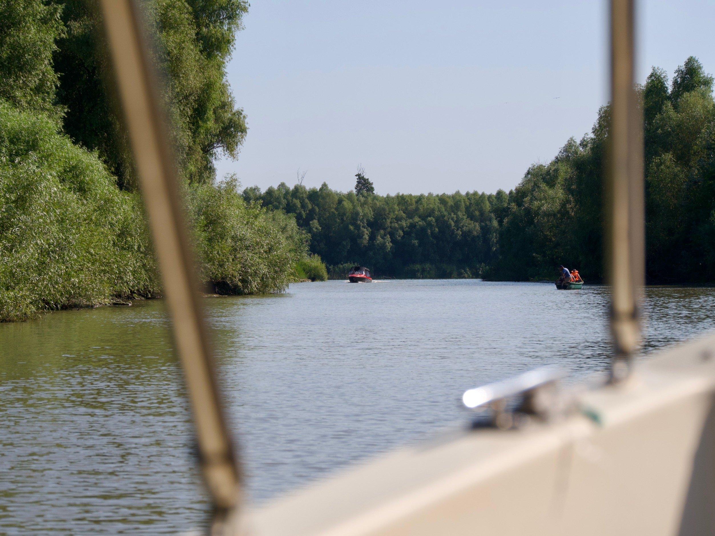 Zicht vanuit de boot in de Donaudelta