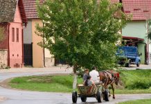 Straat in Boian