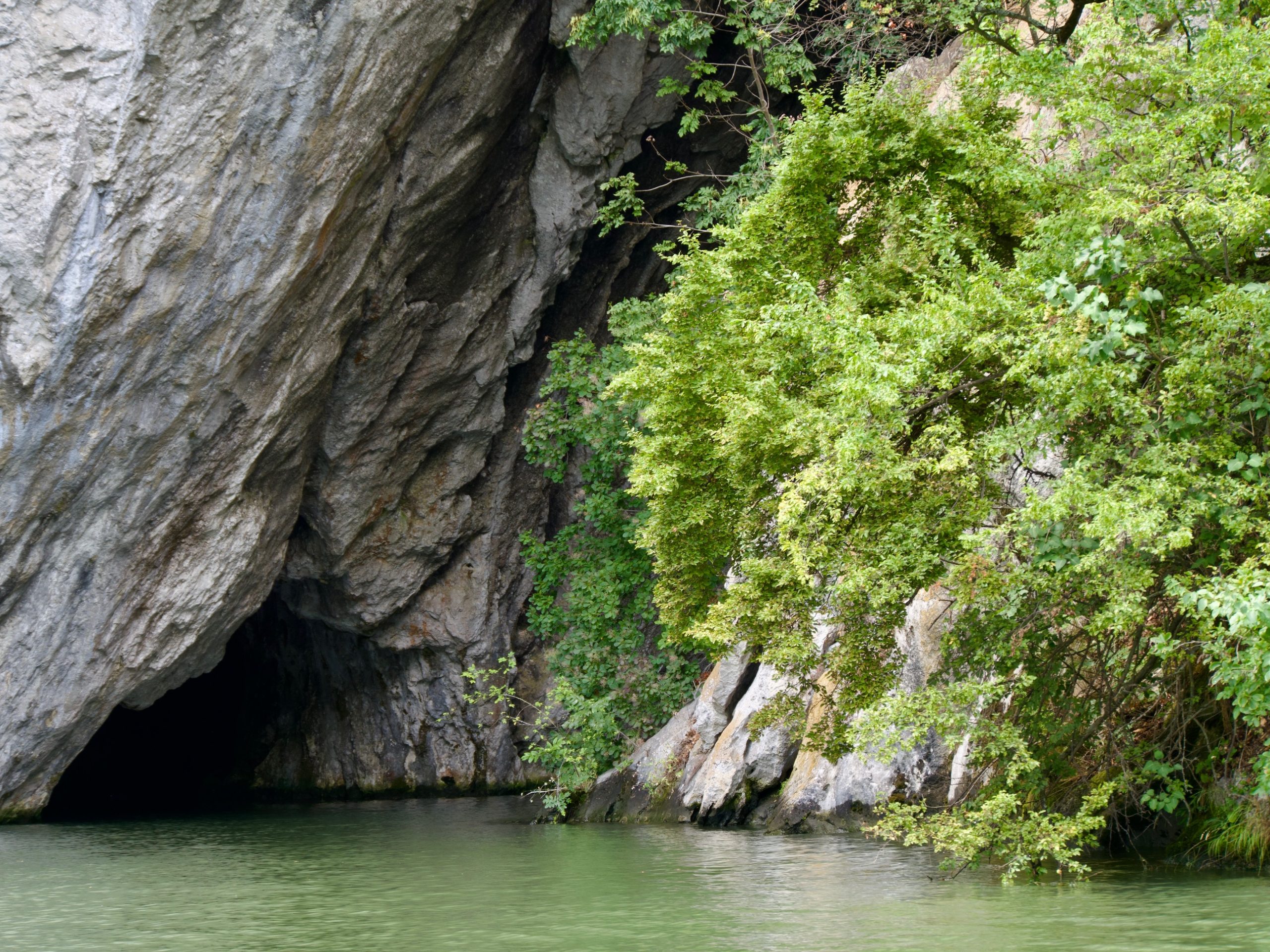 Pestera Ponicova grot aan de Donau