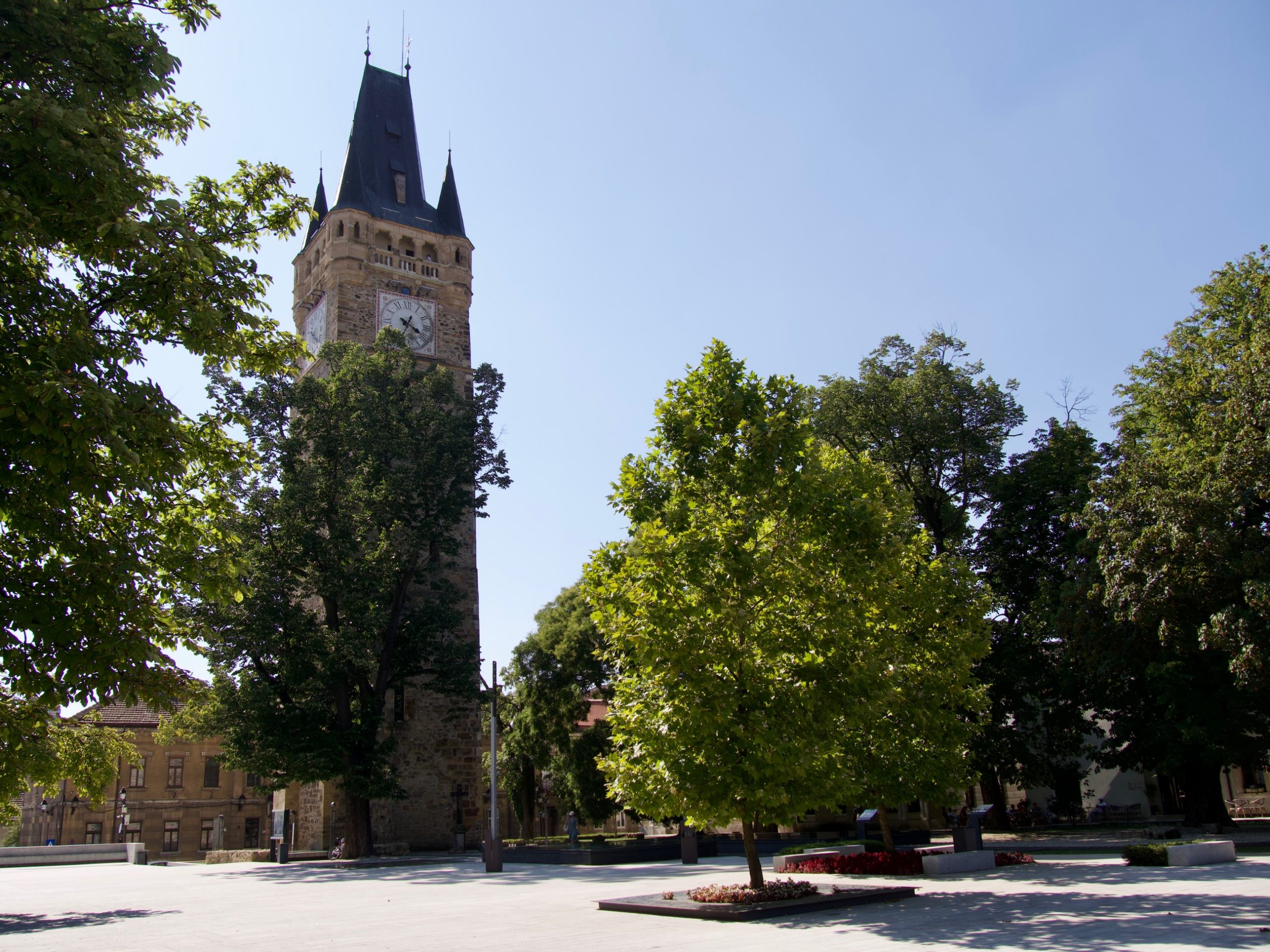 Piața Cetății Baia Mare