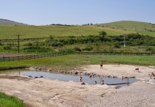 Modderig zoutbad met locals in Sic