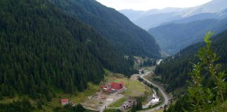 Transfăgărășan
