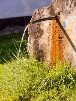 Een boomstam met bergwater uit een pijpje