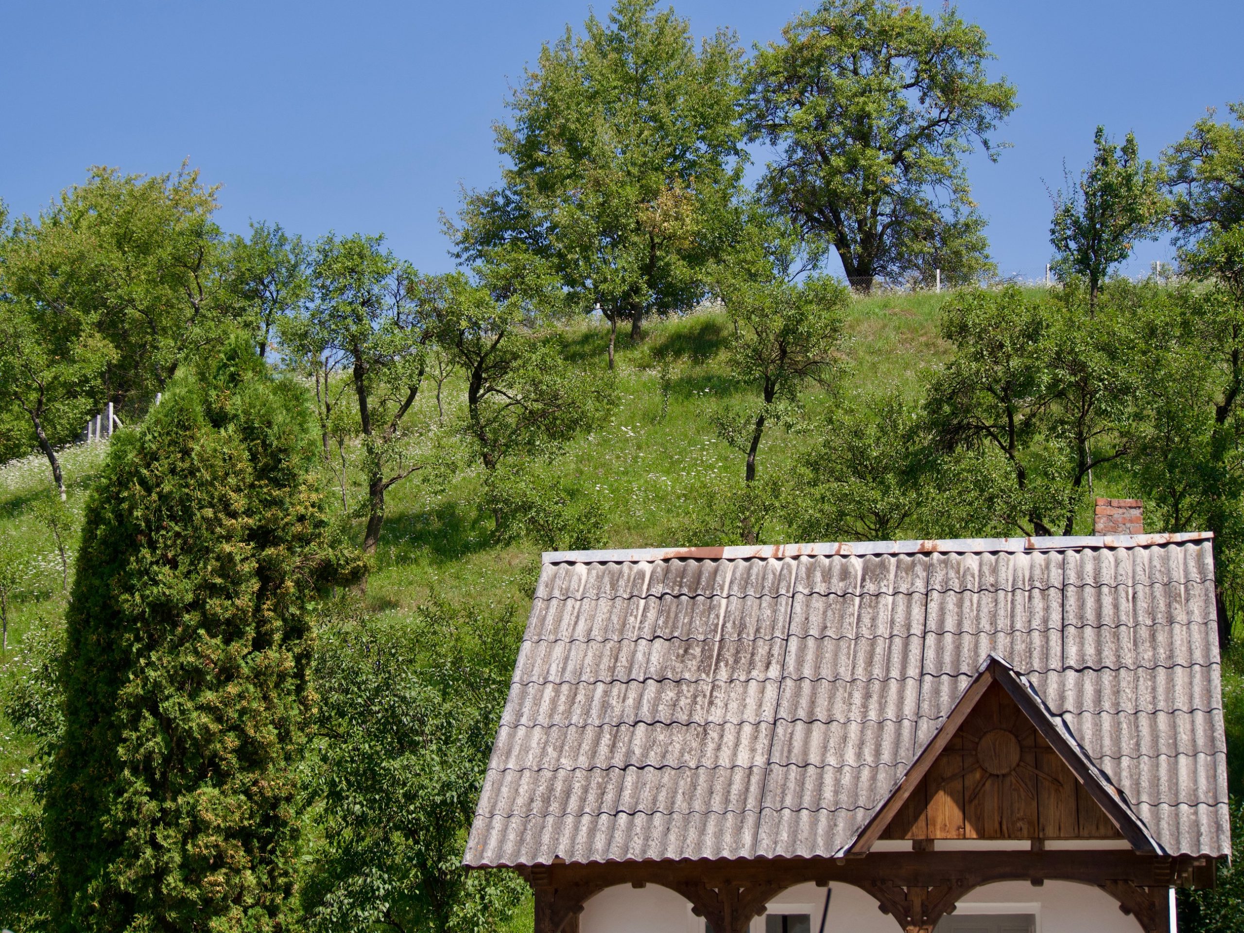 Openluchtmuseum van Sighetu Marmației