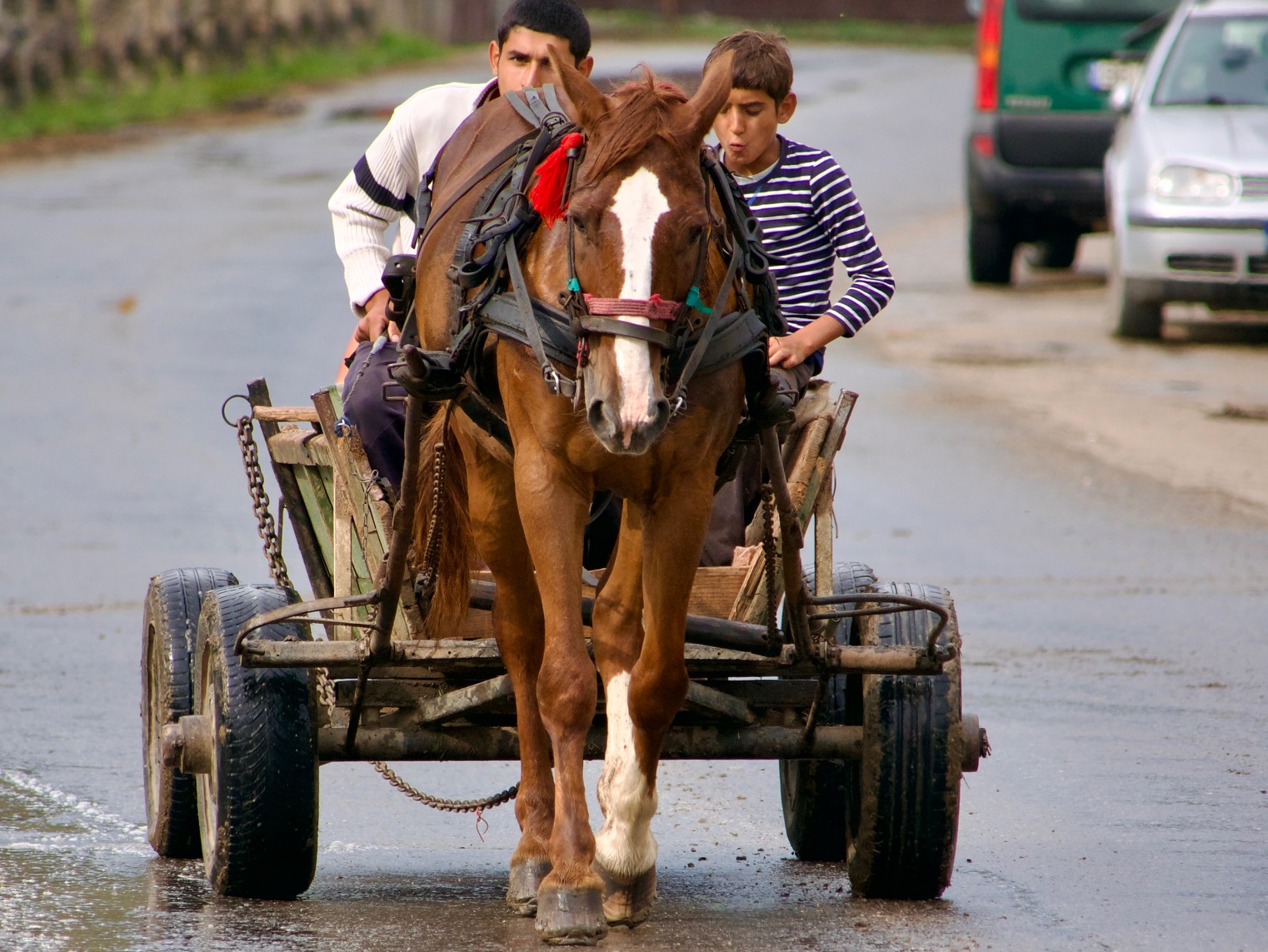 Paard en wagen in Roemenië