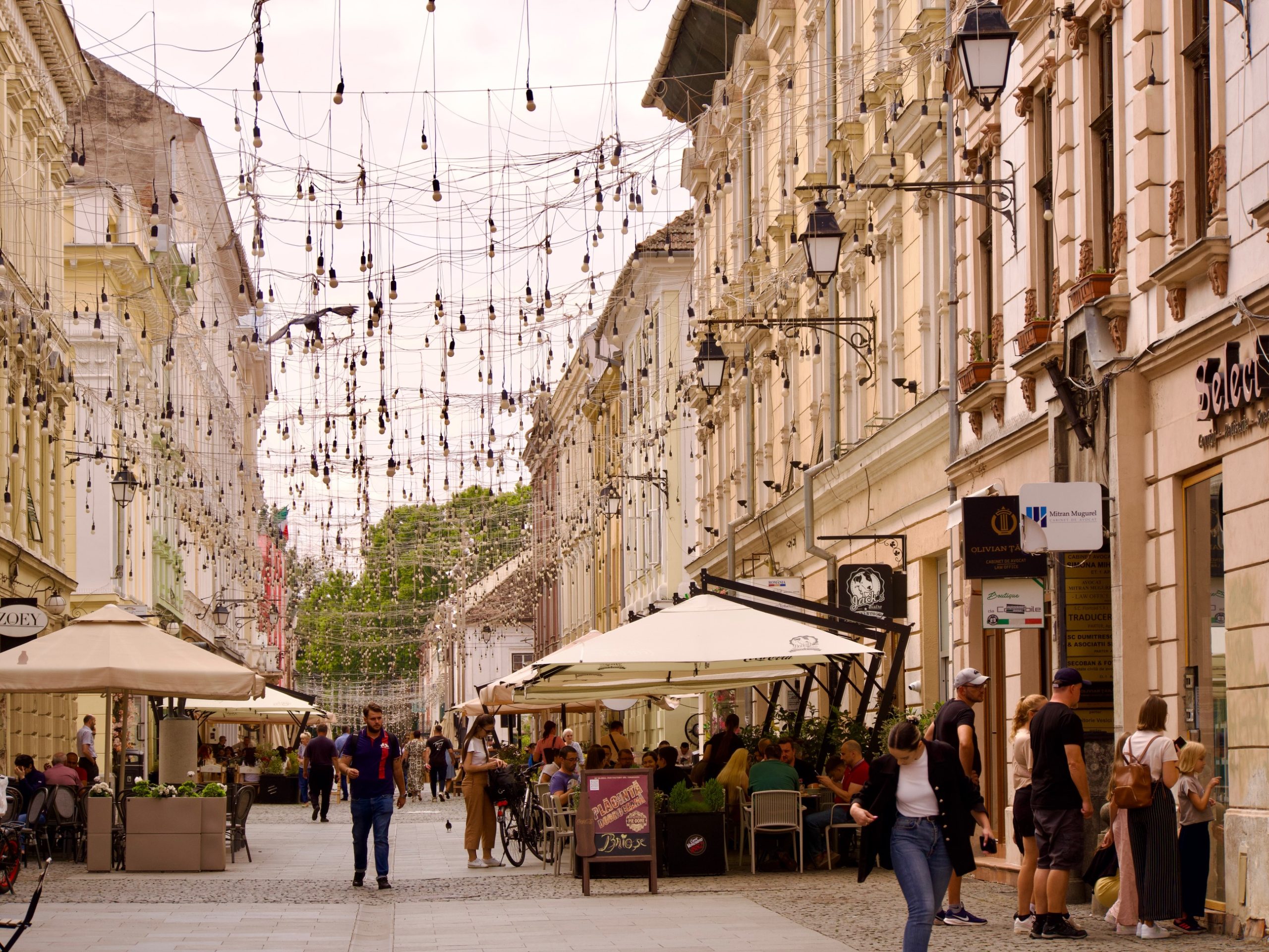 Leuk straatje in Timișoara