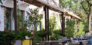 Form café in Cluj-napoca