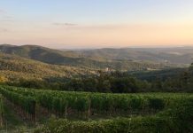 Ondergaande zon in de chianti streek