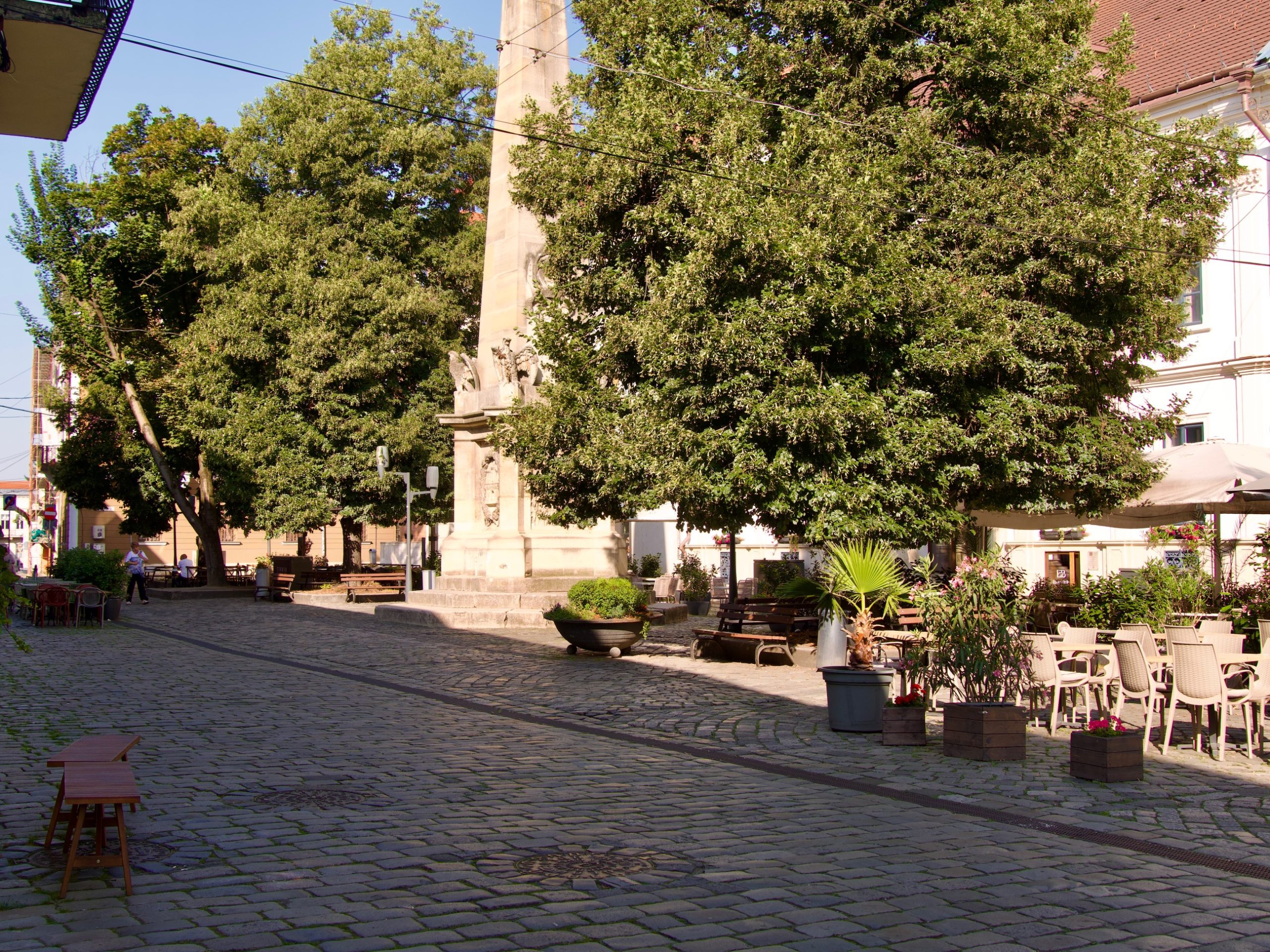 Piață Muzeului in Cluj Napoca