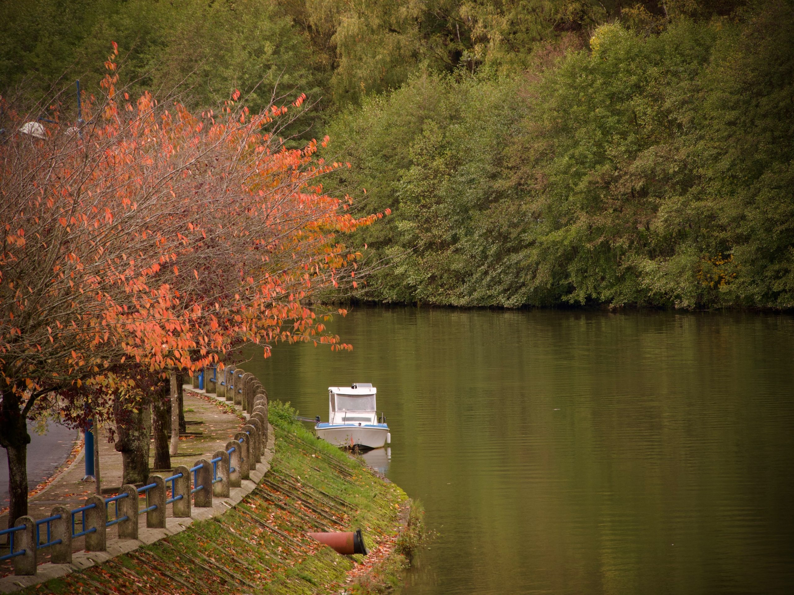 Een bootje langs de oever van de Maas bij Monthermé