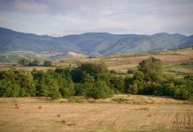 Het open landschap bij Bozovici in Roemenië