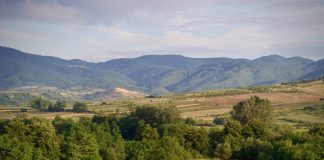 Het open landschap bij Bozovici in Roemenië