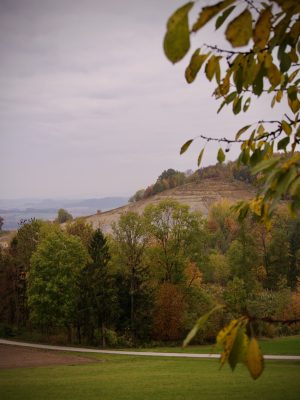 Fietsroute Vom Kurpark in den naturpark bij Flinklham