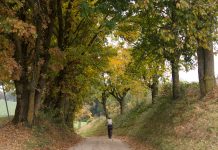 Fietsroute Oberösterreich in de herfst Vom Kurpark in den Naturpark