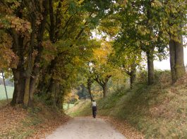 Fietsroute Oberösterreich in de herfst Vom Kurpark in den Naturpark