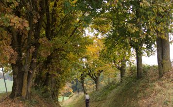 Fietsroute Oberösterreich in de herfst Vom Kurpark in den Naturpark