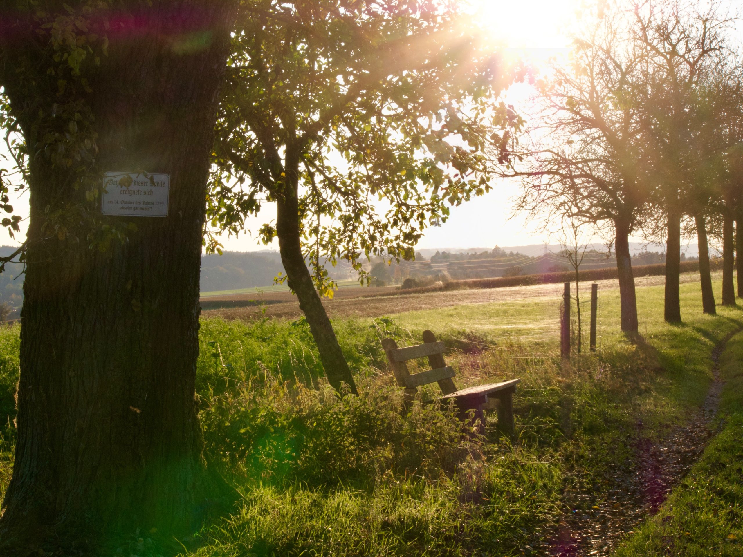 Mostlandl Hausruck-regio wandeling langs de fruitbomen