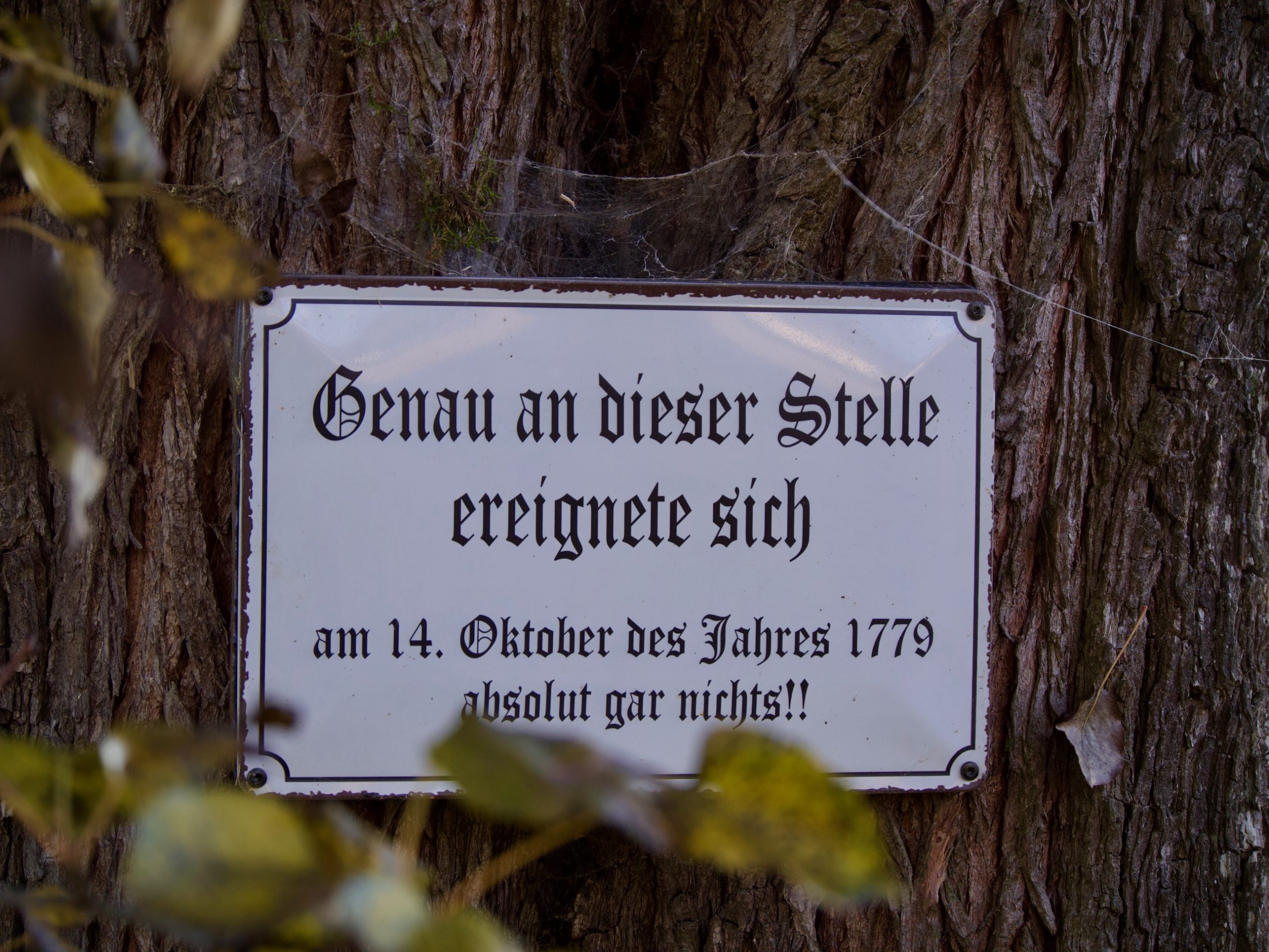 bordje oude appelboom