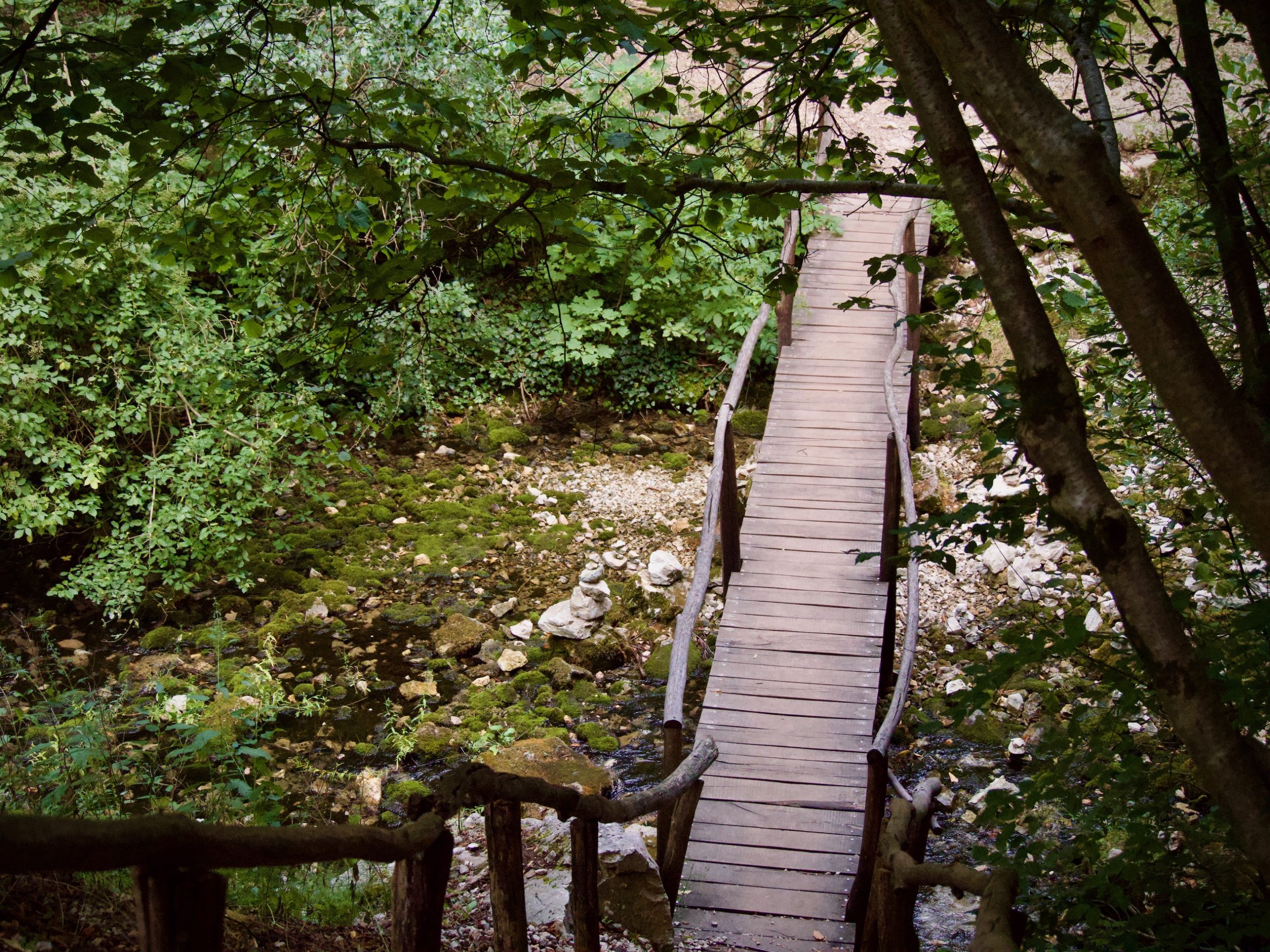 De brug bij Cascada Bigar in Roemenië