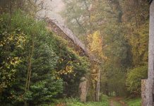 Een oude watermolen in Crupet