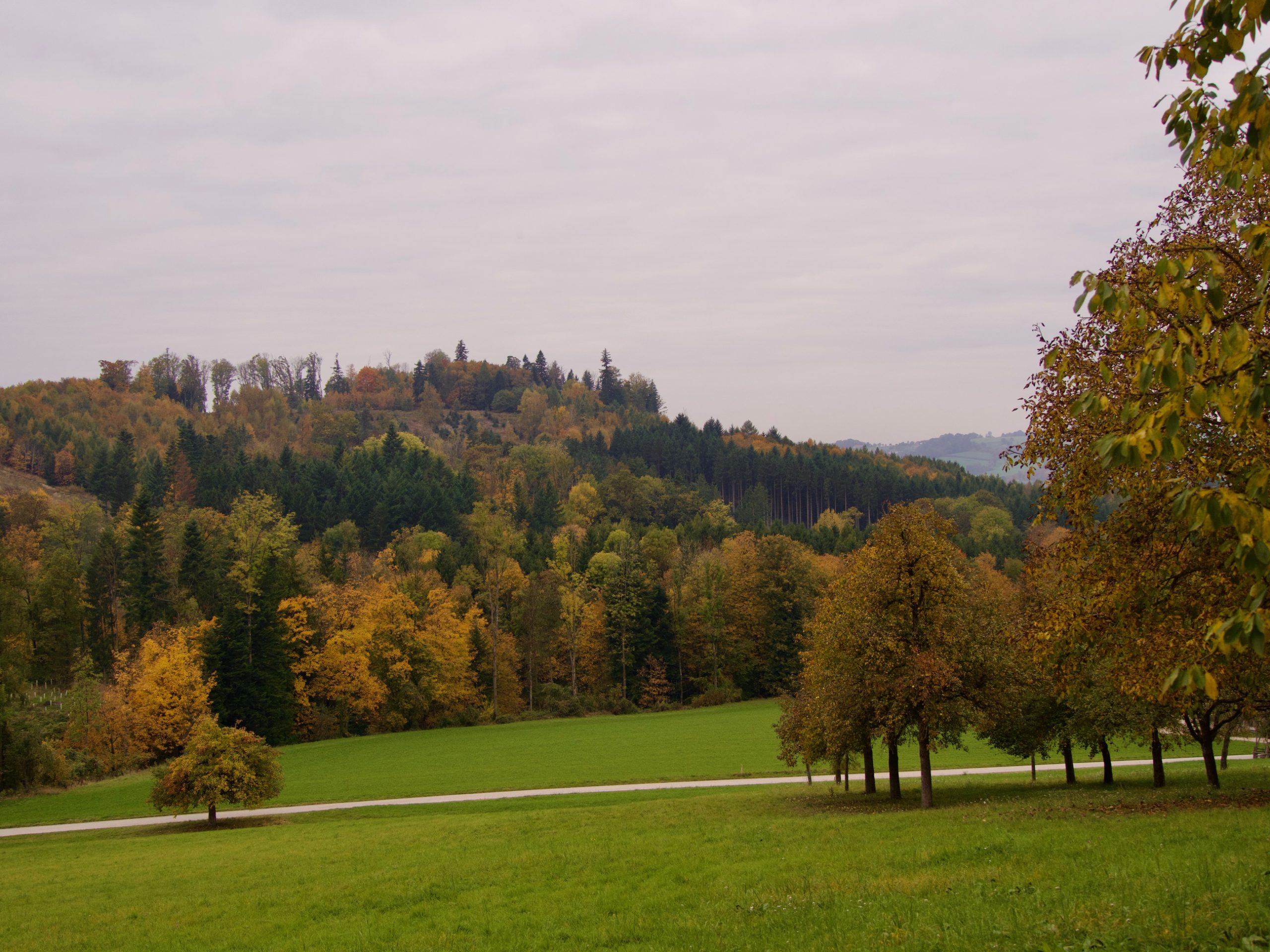 Herfstkleuren bij Finklham