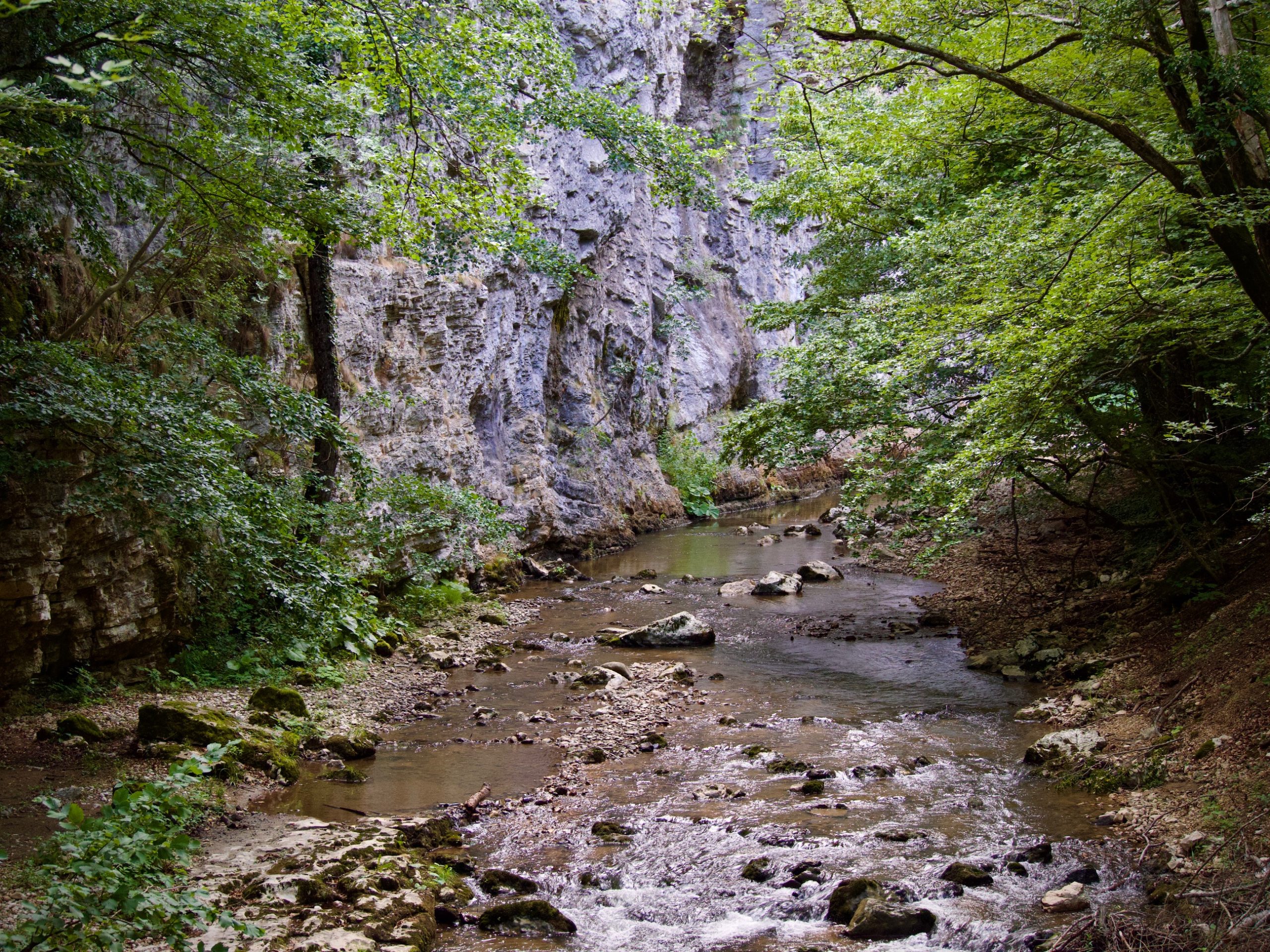 De rivier nera in Roemenië