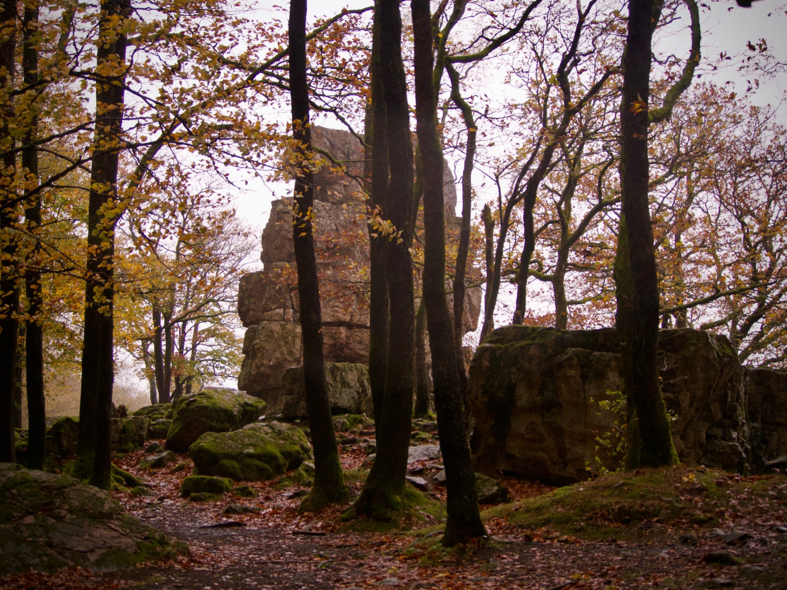 Roc La Tour doemt op tussen de bomen