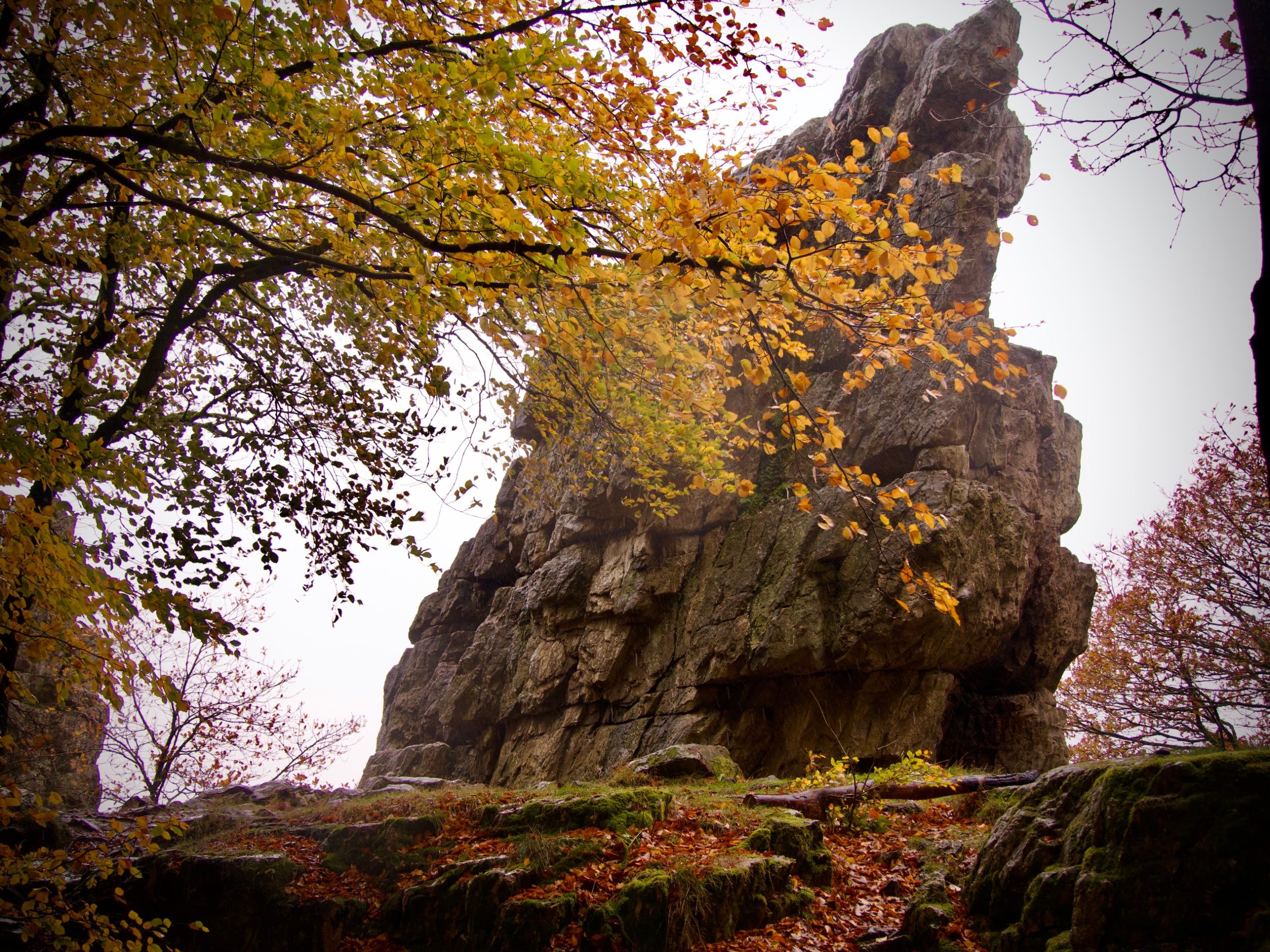 Roc la tour in de Franse Ardennen in de herfst