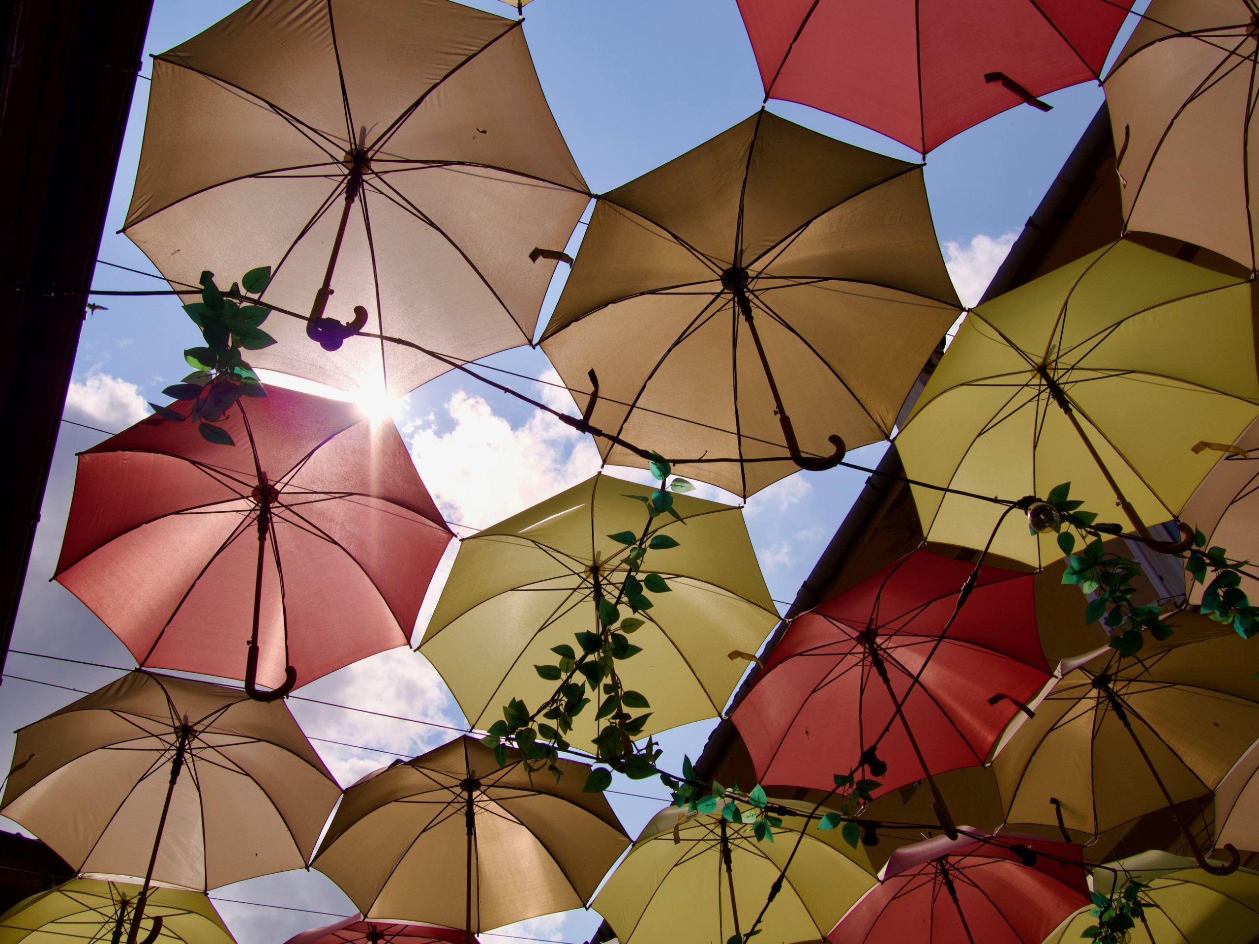 umbrella street in sighisoara