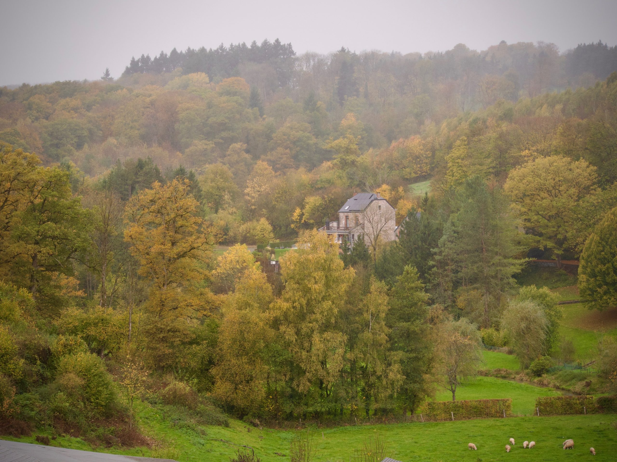 De bossen in de omgeving van Celles