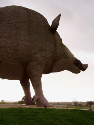 Het levensgrote everzwijn van Woinic in de Franse Ardennen