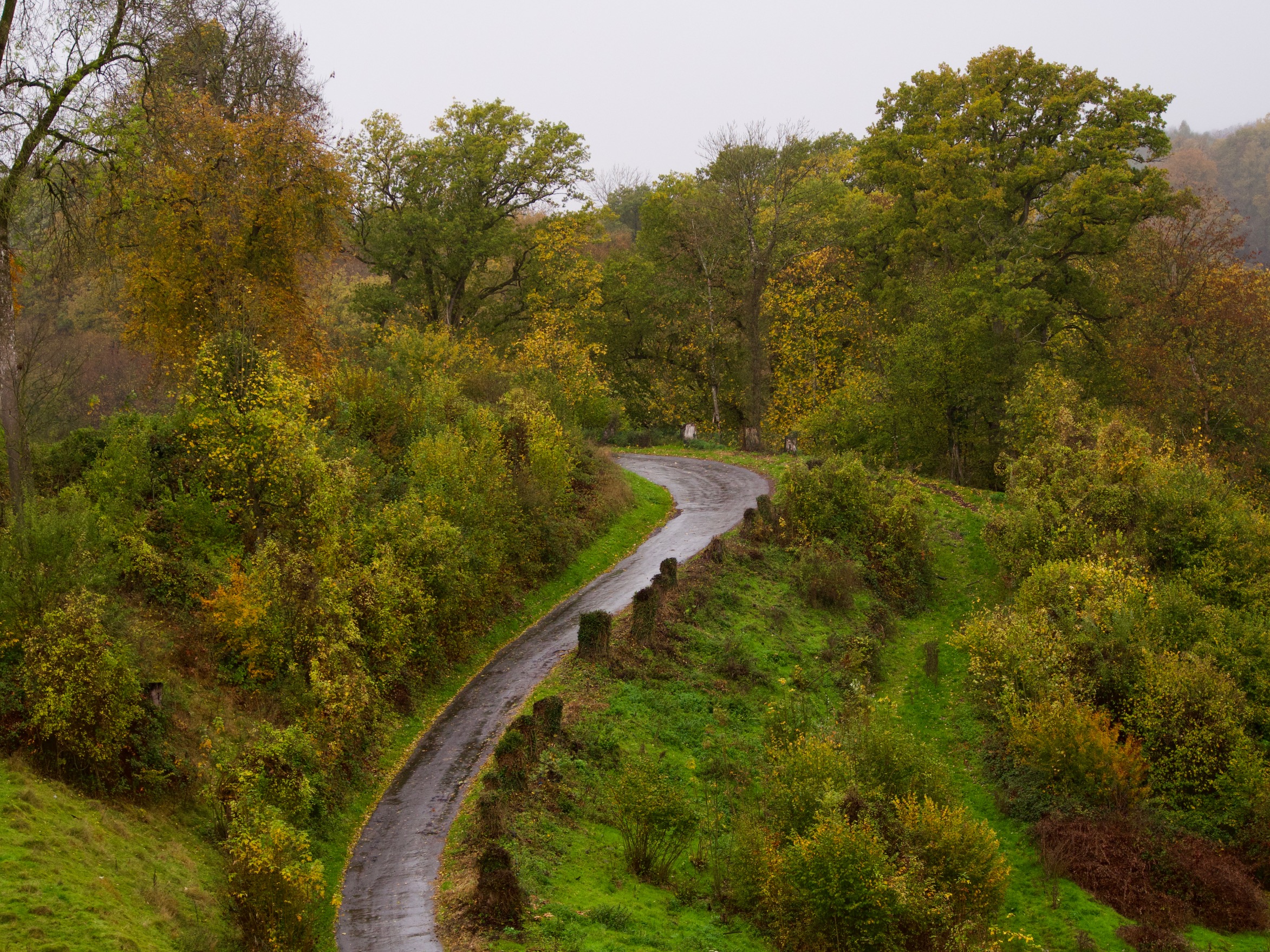 De toegangsweg naar het klooster in Celles