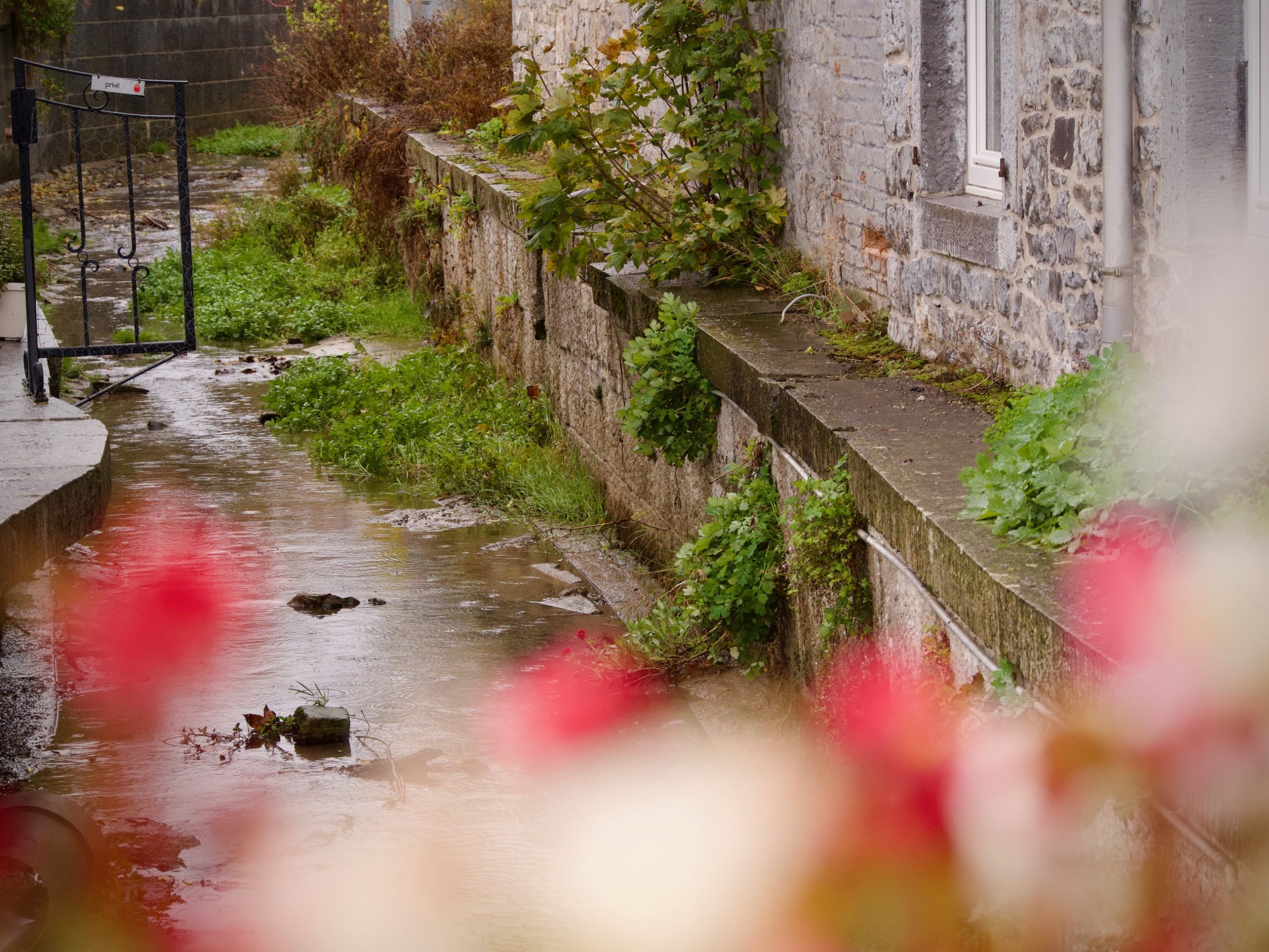 Een beekje stroomt door Celles