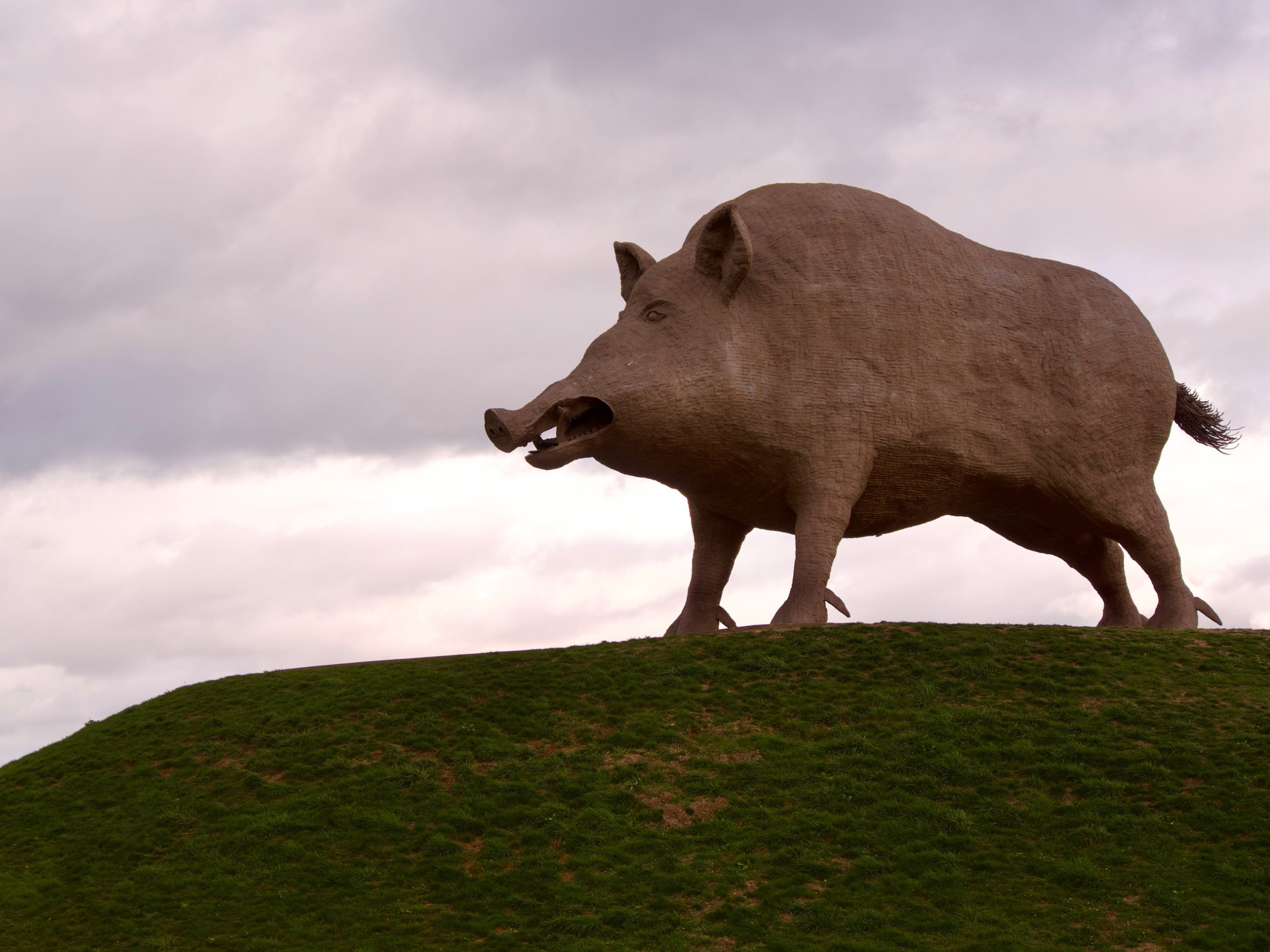 Kunstwerk Sléziak groot everzwijn langs de snelweg in Frankrijk