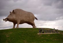 Het levensgrote everzwijn van Woinic in de Franse Ardennen Het levensgrote everzwijn in de Ardennen