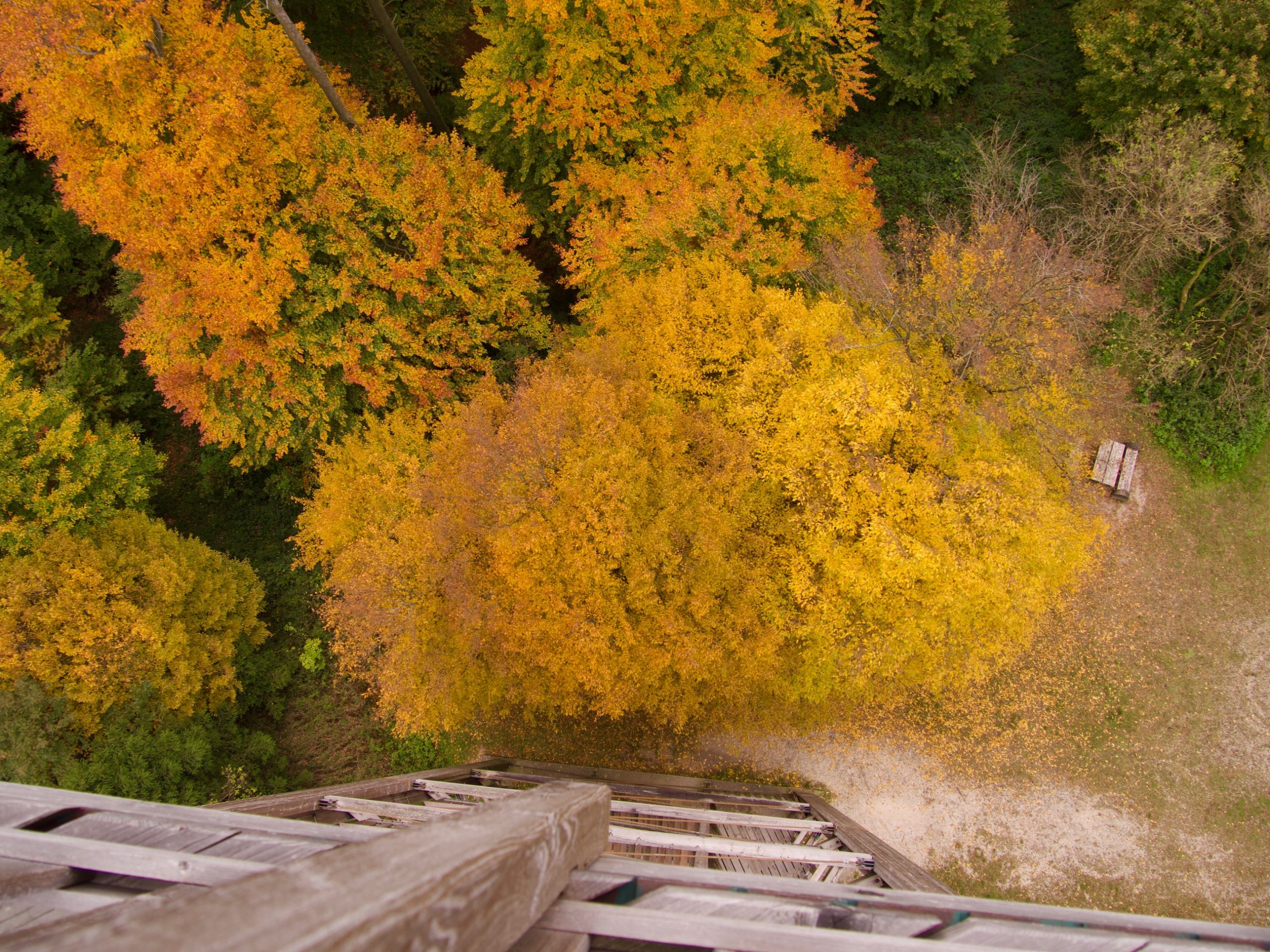 Gouden herfstkleuren vanaf de uitkijktoren