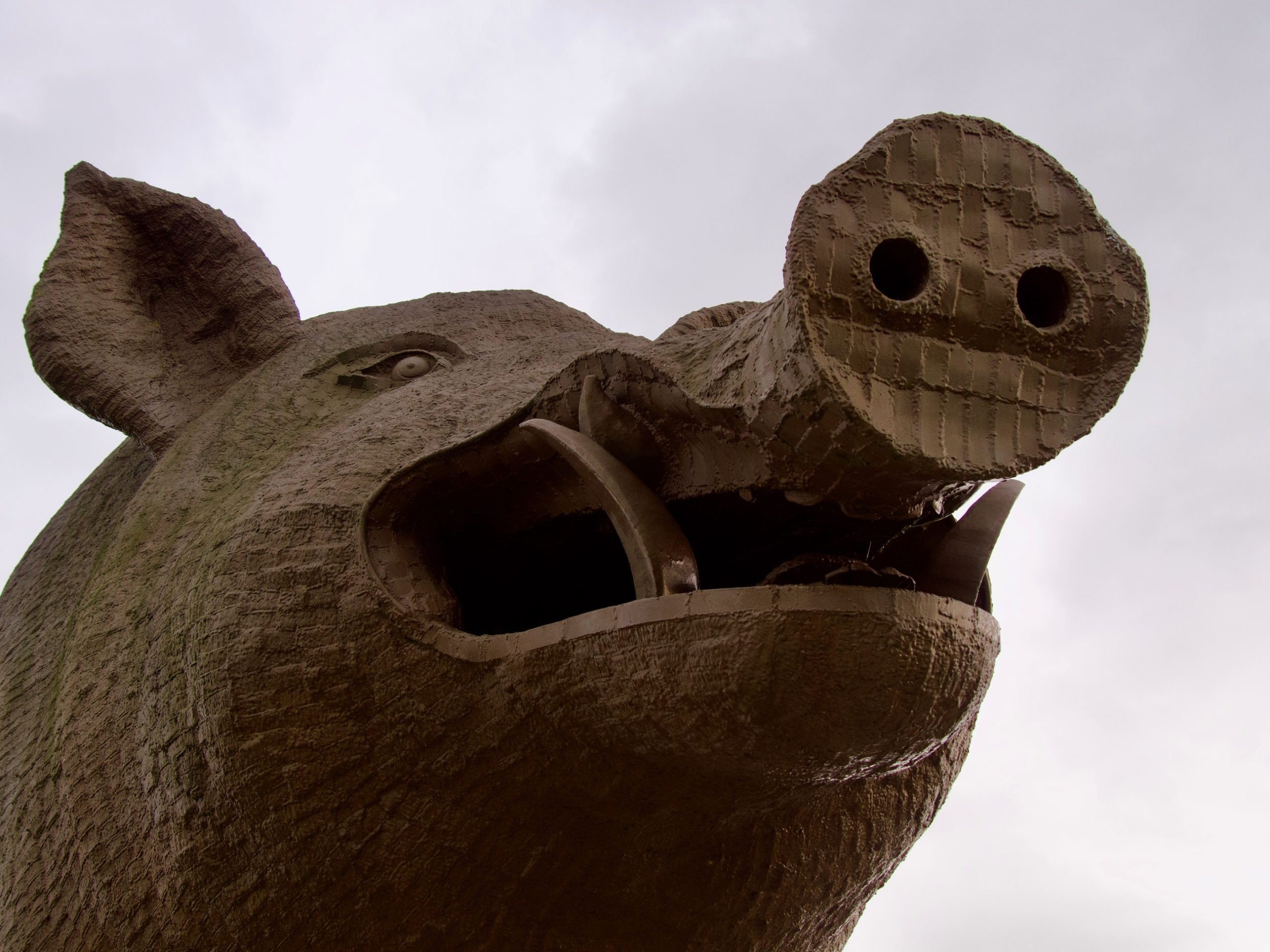kop everzwijn kunstwerk langs de snelweg in de Ardennen