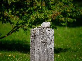 mauthausen memorial