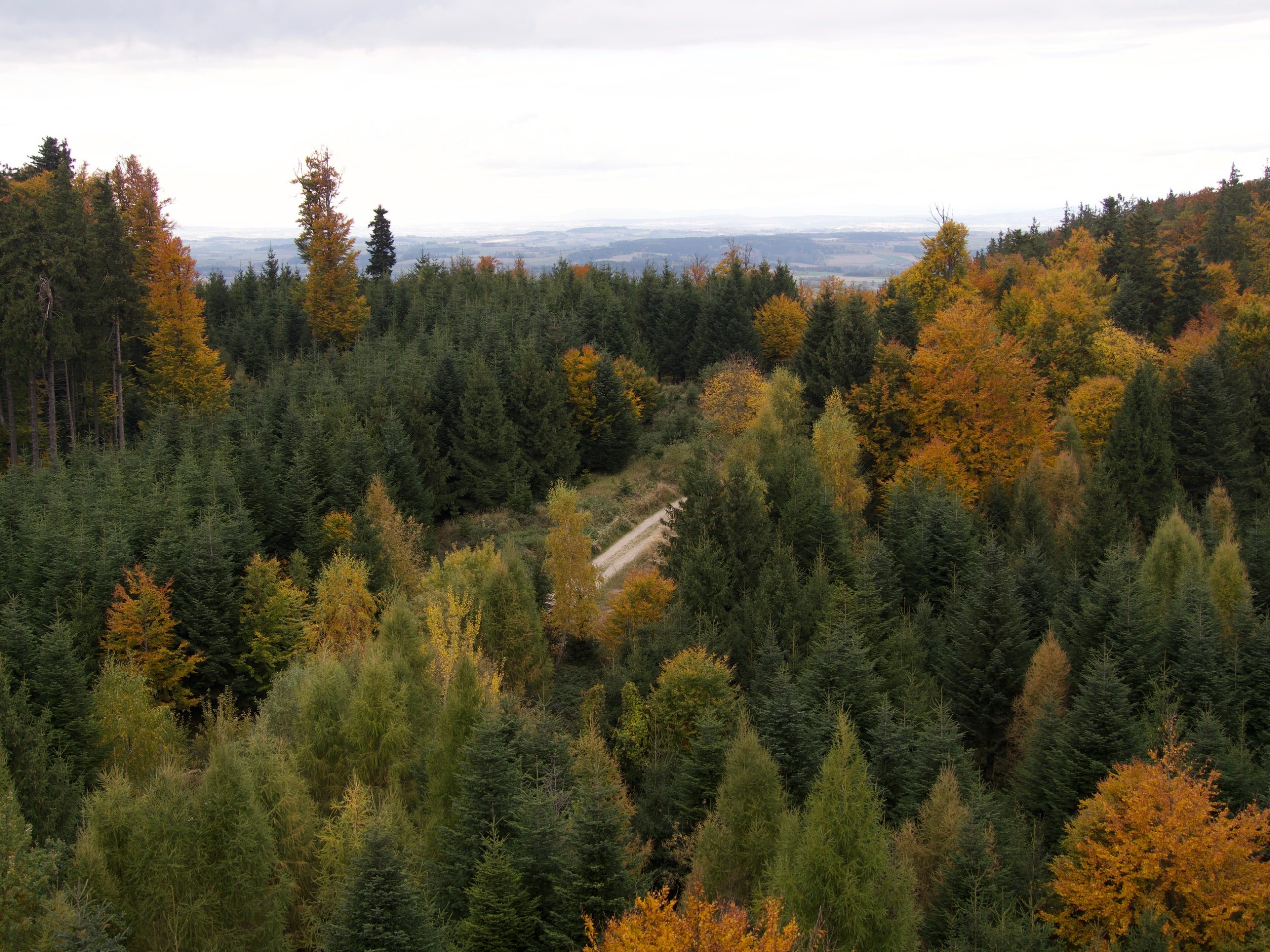 Het uitzicht vanaf de uitkijktoren in haag am Hausruck