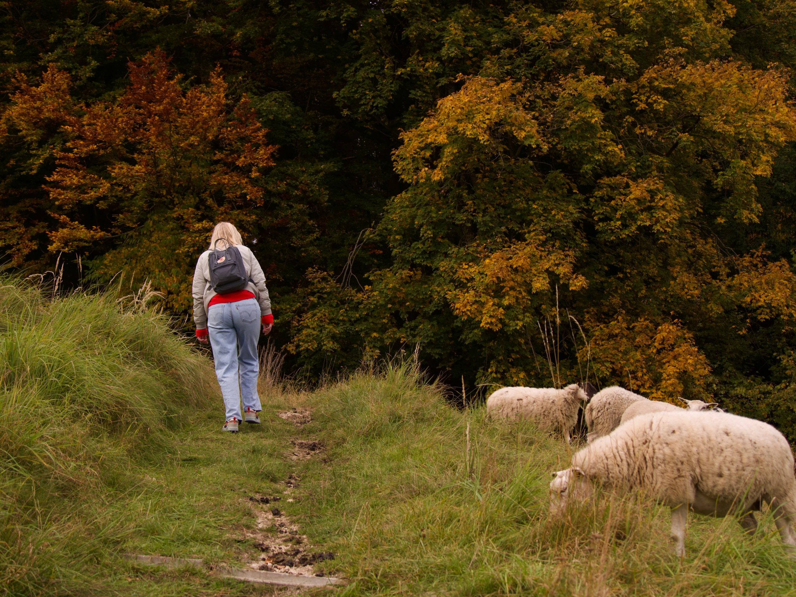 Start wandeling weg der Sinne in Oostenrijk