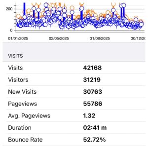 Statistieken volgens Google Analytics over 2025