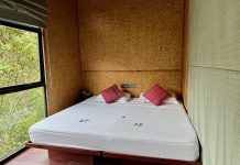 The Rainforest Ecolodge Sri Lanka: slapen midden in de jungle (review 2026) het bed en de kamer in de ecolodge in het sinjahara Rainforest