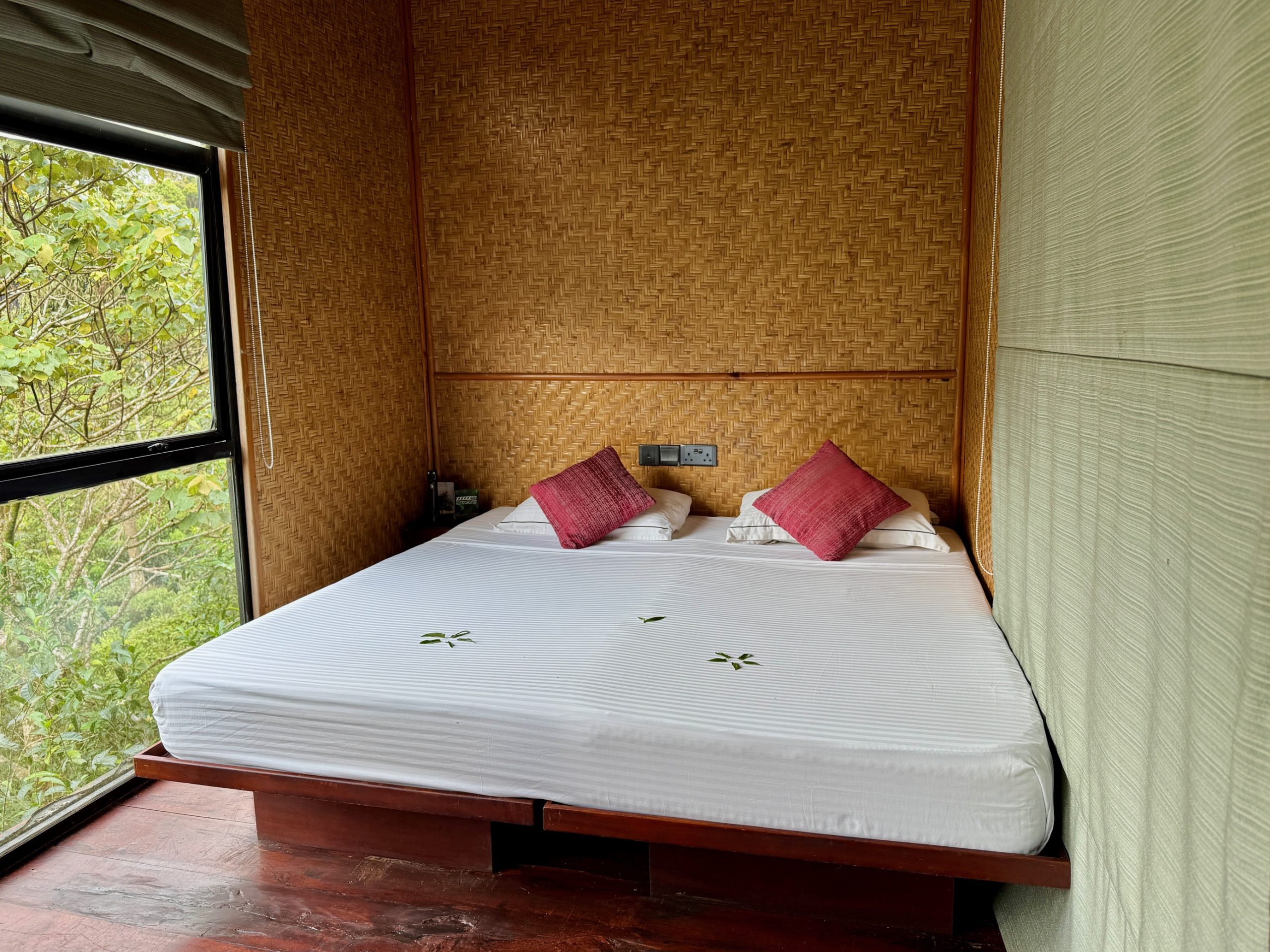 het bed en de kamer in de ecolodge in het sinjahara Rainforest