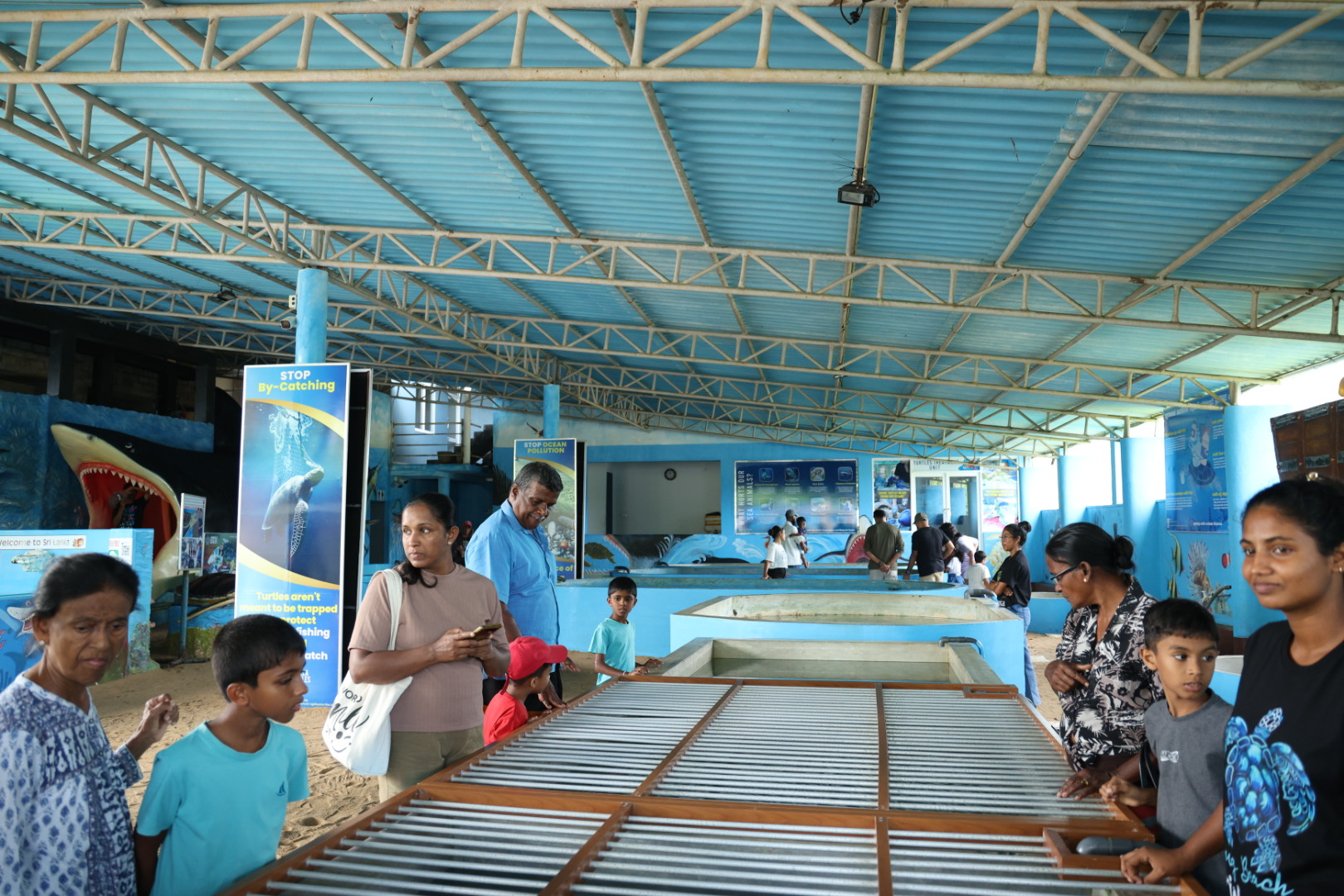 De schildpadden opvang in Ahungalla